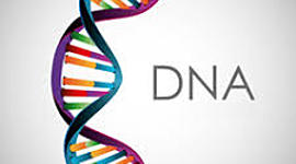 Timeline: sequenza della scoperta e l'utilizzo, per trarne vantaggio, del DNA