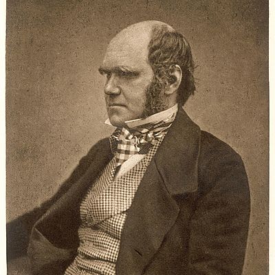 Timeline: The Life of Charles Darwin