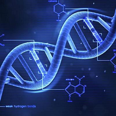 Timeline: History of DNA on timeline.