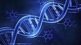 Timeline: History of DNA on timeline.