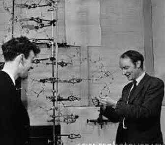 James watson and Francis Crick