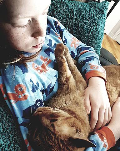 Mon premier chat 