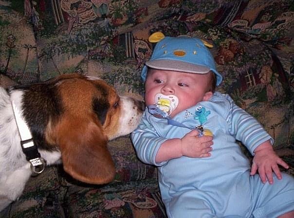 la connaisance de mon chien luky