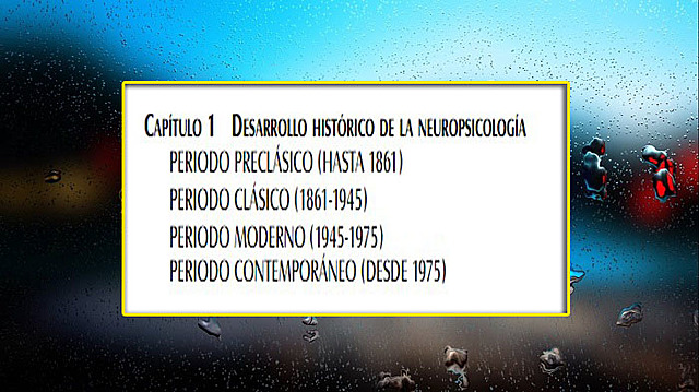 ¿QUÉ ES LA NEUROPSICOLOGÍA?
