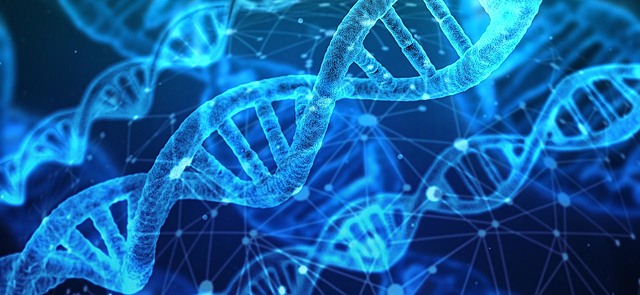 2019 Microsoft crea el primer disco duro de ADN