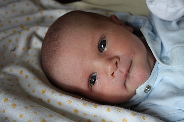 Naissance de mon frère Lenny