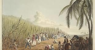 New World slavery of Africans begins in Hispaniola