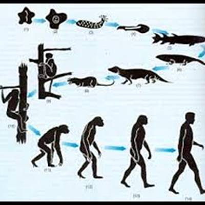 Timeline: Teorías de la Evolución.