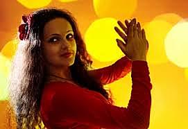 Protección integral de los derechos del grupo étnico gitano. 8 de Abril día internacional del pueblo gitano