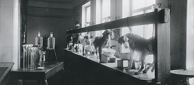 Evento 10. El conductismo es reconocido.