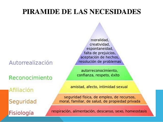 Evento 8: Humanista.