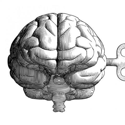Evento 10: Cognitivismo.