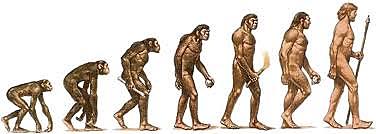 . Aparició homo hàbilis.