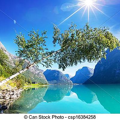 Timeline: ציר זמן אפרת צדוק כיתה ו4