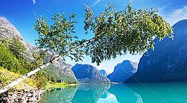 Timeline: ציר זמן אפרת צדוק כיתה ו4