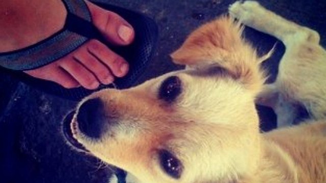 LA PRIMERA FOTO D'INSTAGRAM