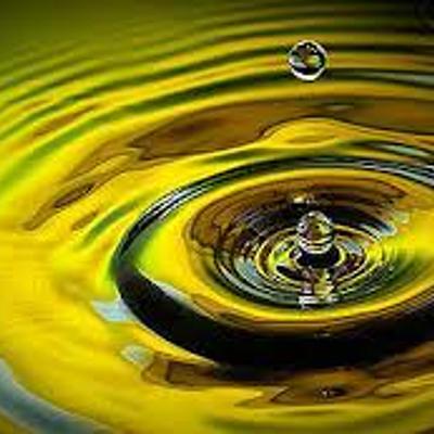 Timeline: שירה חיון ציר זמן