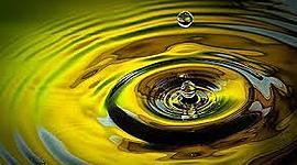 Timeline: שירה חיון ציר זמן