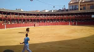 concert at Plaza De Toro