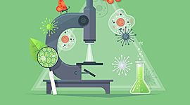 Timeline: De l’invention du microscope jusqu'à la théorie cellulaire