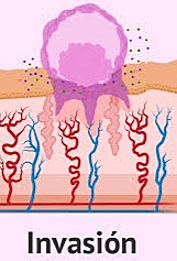 Segunda semana- Día 8-9
