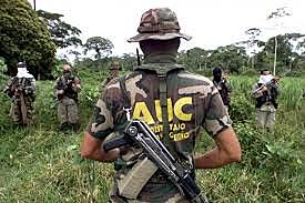 origen de los paramilitares