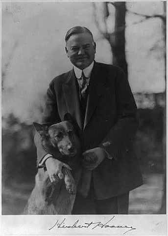 Herbert Hoover elected President