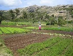 ECONOMÍA AGRARIA DE SUBSISTENCIA