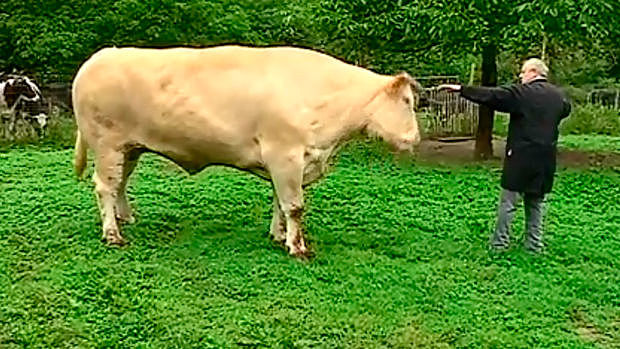 Agricultural Revolution