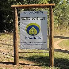 Associação Nascentes