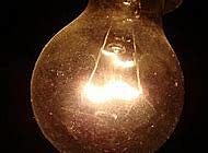 The Bulb