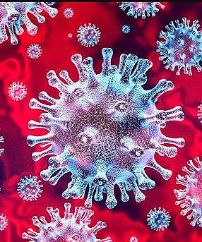 Descoberta da doença