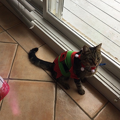 Timeline: Fais marquant