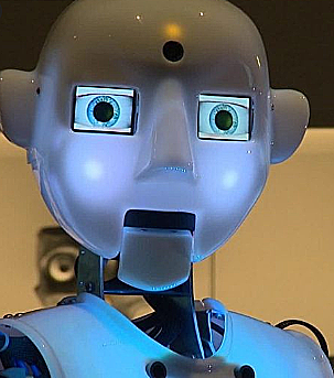 2005 Robotica inteligente