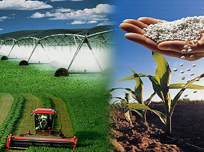 Producción de bienes intermedios