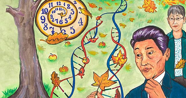 Teoría Neutral de la Evolución Molecular