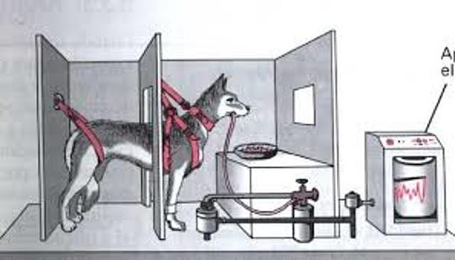 La enseñaza  programadas - enfoque conductista y neoconductista.