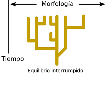 Teoría Saltacionista o del Equilibrio Puntuado