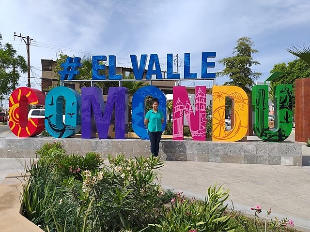 Primer viaje estatal sola