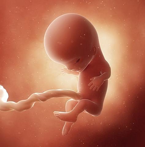 Decima primera semana