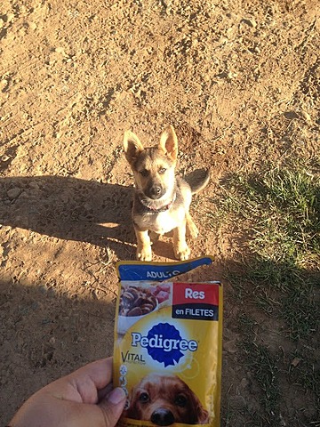 Nos quedamos con Argos