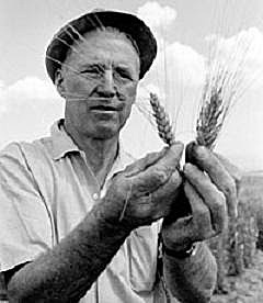 Programa Mexicano de Agricultura