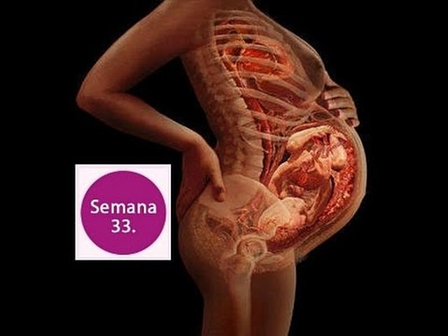 Semanas 33 y 34