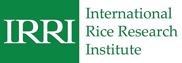 International Rice Research Institute