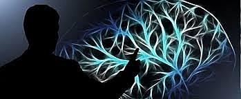 EL NACIMIENTO DE LA NEUROPSICOLOGÍA (1913 - 1949)