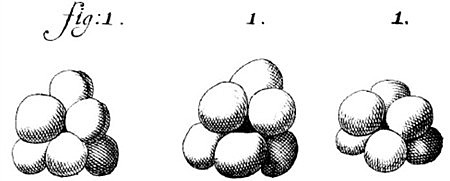 Antoni Van Leeuwenhoek y los animaculos