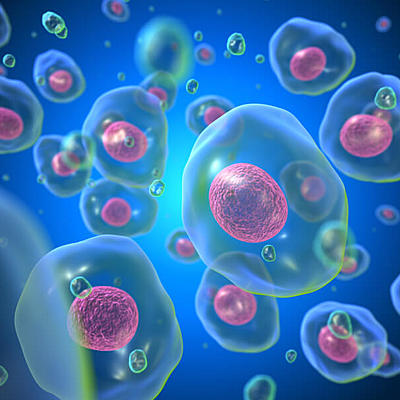 Timeline: La Teoría Celular