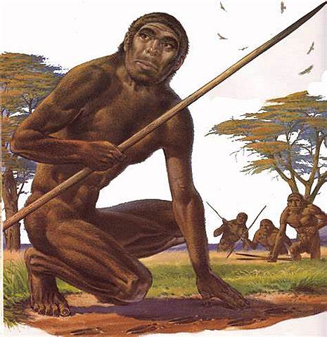 HOMO ERECTUS