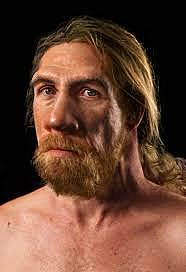 Homo nenderthalensis