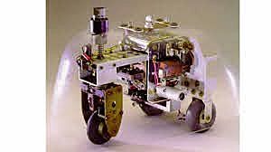 tortue cybernétique